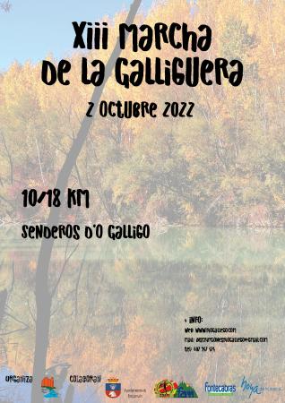 Imagen XIII marcha por La Galliguera