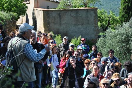 Imagen XXI Jornadas del Plantas medicinales