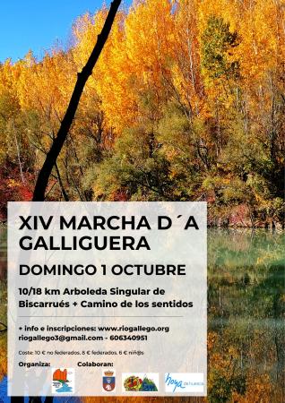 Imagen XIII Marcha d'a Galliguera* por el Sendero Botánico y Camino ??de...