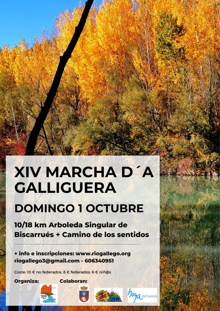 Imagen XIII Marcha d'a Galliguera* por el Sendero Botánico y Camino ??de los Sentidos.