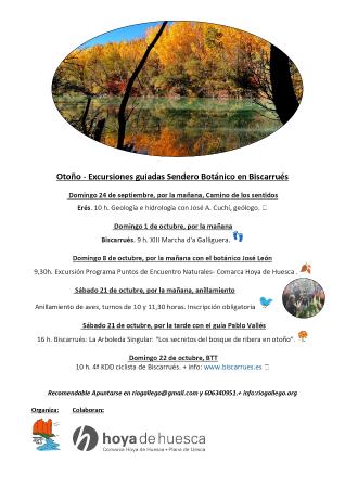 Imagen Paseo guiado sobre geología en el camino de los Sentidos