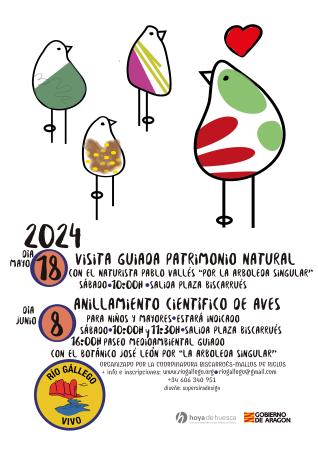 Imagen Actividades de naturaleza en la Arboleda singular de Biscarrués.