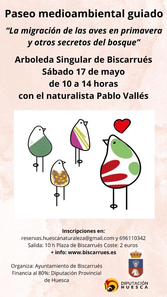 Imagen Paseo Pablo Valles 2025