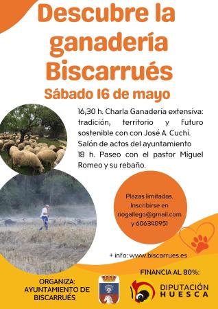 Imagen “Biscarrués Sostenible”