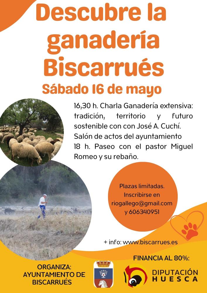 Imagen “Biscarrués Sostenible”