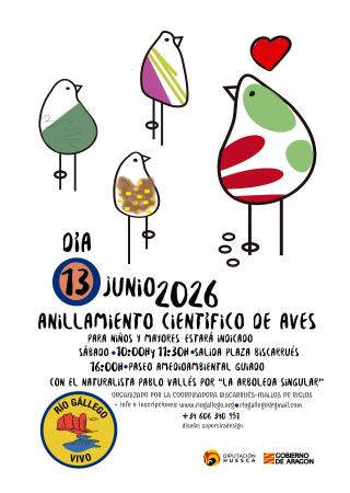 Imagen Anillamiento de aves