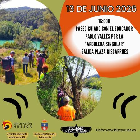 Imagen Gran acogida de la visita guiada a la Arboleda Singular de Biscarrués