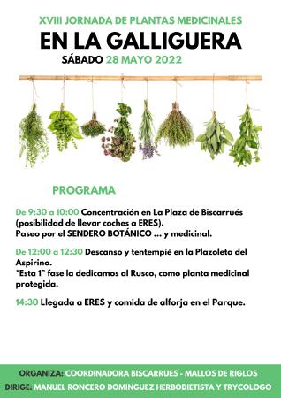 Imagen Jornada de planta medicinales, paseo Biscarrués-Erés